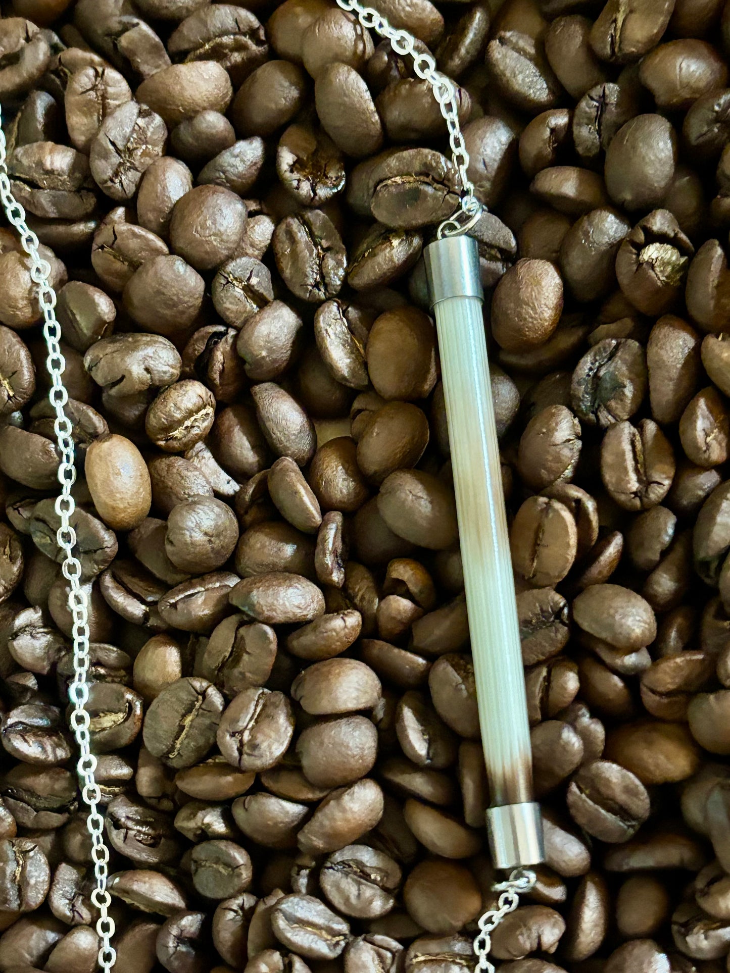 Endless Loop Quill Necklace stainless steel